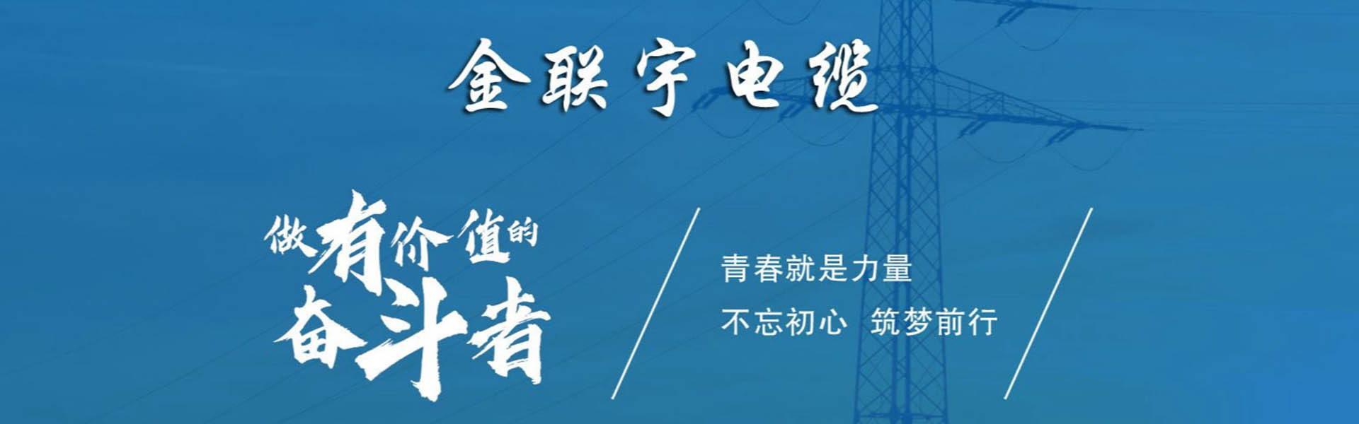 金联宇电缆